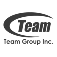 логотип бренда TEAM ELITE