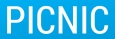 логотип бренда PICNIC