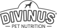 логотип бренда DIVINUS