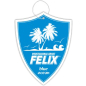 Ароматизатор FELIX Shield Прохлада лазурного океана (411040029) - Фото 2
