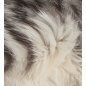 Шампунь для кошек TRIXIE 250 мл (2908) - Фото 2