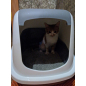 Туалет-домик для кошек 56х39х38,5 см SAVIC Nestor светло-серый (022700WG) - Фото 9
