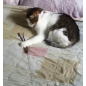 Игрушка для кошек TRIXIE Удочка-дразнилка с пером и кожаными полосками 50 см (4550) - Фото 2