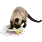 Игрушка для кошек TRIXIE Junior Kitten Circle 24 см (41340) - Фото 5