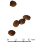 Сухой корм для щенков FARMINA Vet Life Growth 12 кг (8010276025357) - Фото 3