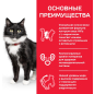 Сухой корм для пожилых кошек HILL'S Science Plan Mature Adult 7+ Sterilised Cat курица 0,3 кг (52742934907) - Фото 4