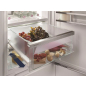 Холодильник встраиваемый LIEBHERR IRBd 4150-20 001 - Фото 6