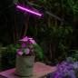 Светильник настольный для растений красно-синего спектра UNIEL ULT-P33 15 Вт (UL-00004735) - Фото 14
