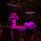 Светильник настольный для растений красно-синего спектра UNIEL ULT-P33 15 Вт (UL-00004735) - Фото 16