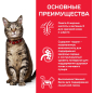 Сухой корм для кошек HILL'S Science Plan Adult ягненок 0,3 кг (52742022925) - Фото 6
