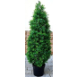 Искусственное растение FORGARDEN Самшит Boxwood tower 120 см (FGN_BF01706)