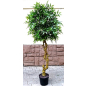 Искусственное растение FORGARDEN Фикус Ficus french 180 см (FGN_BF01687)