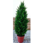 Искусственное растение FORGARDEN Кипарис Cypress tower 120 см (FGN_BF01708)