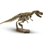 Игровой набор SES CREATIVE Explore Раскопать и собрать тираннозавра (25028) - Фото 2