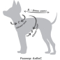 Костюм-дождевик для собак TRIOL Букет L 35 см (12251204) - Фото 2