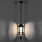 Светильник садовый подвесной FERON PL8105 100 Вт черный (11104) - Фото 3