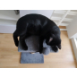 Когтеточка из джута CAT-HOUSE Столбик с полкой 40×40×70 см серый (4810801202390) - Фото 2
