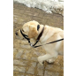 Недоуздок для собак TRIXIE Top Trainer Training Harness L 31/50-57 см (13004) - Фото 3