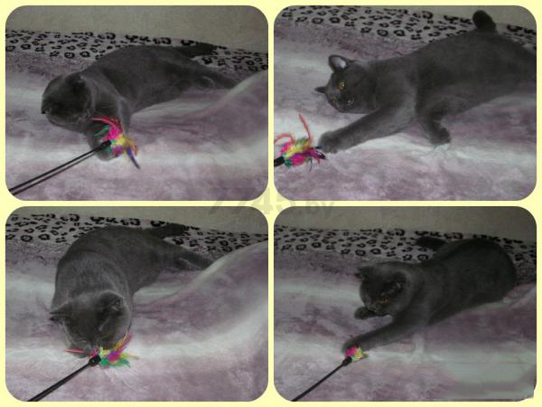 Игрушка для кошек TRIXIE Дразнилка с перышками 50 см (4106) - Фото 3