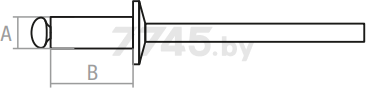 Заклепка вытяжная 4х12 мм сталь-сталь цинк STARFIX 1000 штук (SMC3-22590-1000) - Фото 2