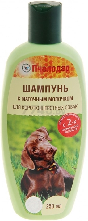 Шампунь для короткошерстных собак PCHELODAR с маточным молочком 250 мл (4607145631296)