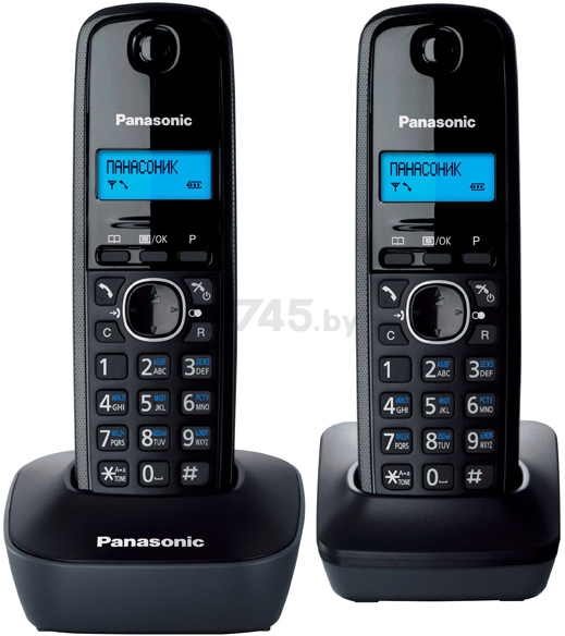 Радиотелефон PANASONIC KX-TG1612RUH