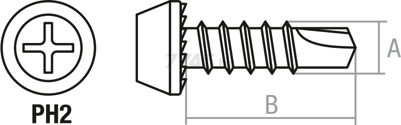 Саморез для листового металла 3,8х11 мм фосфат со сверлом STARFIX 50 штук (SMZ1-91682-50) - Фото 3