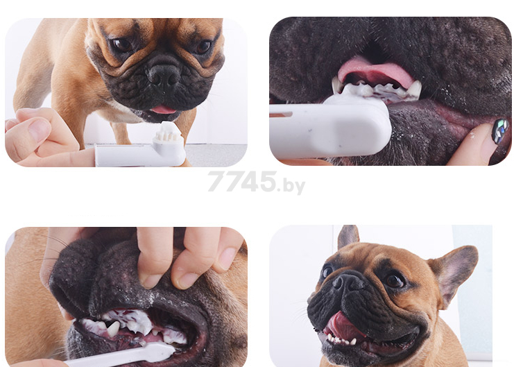 Зубная паста для собак TRIXIE с маслом чайного дерева 100 г (2549) - Фото 2