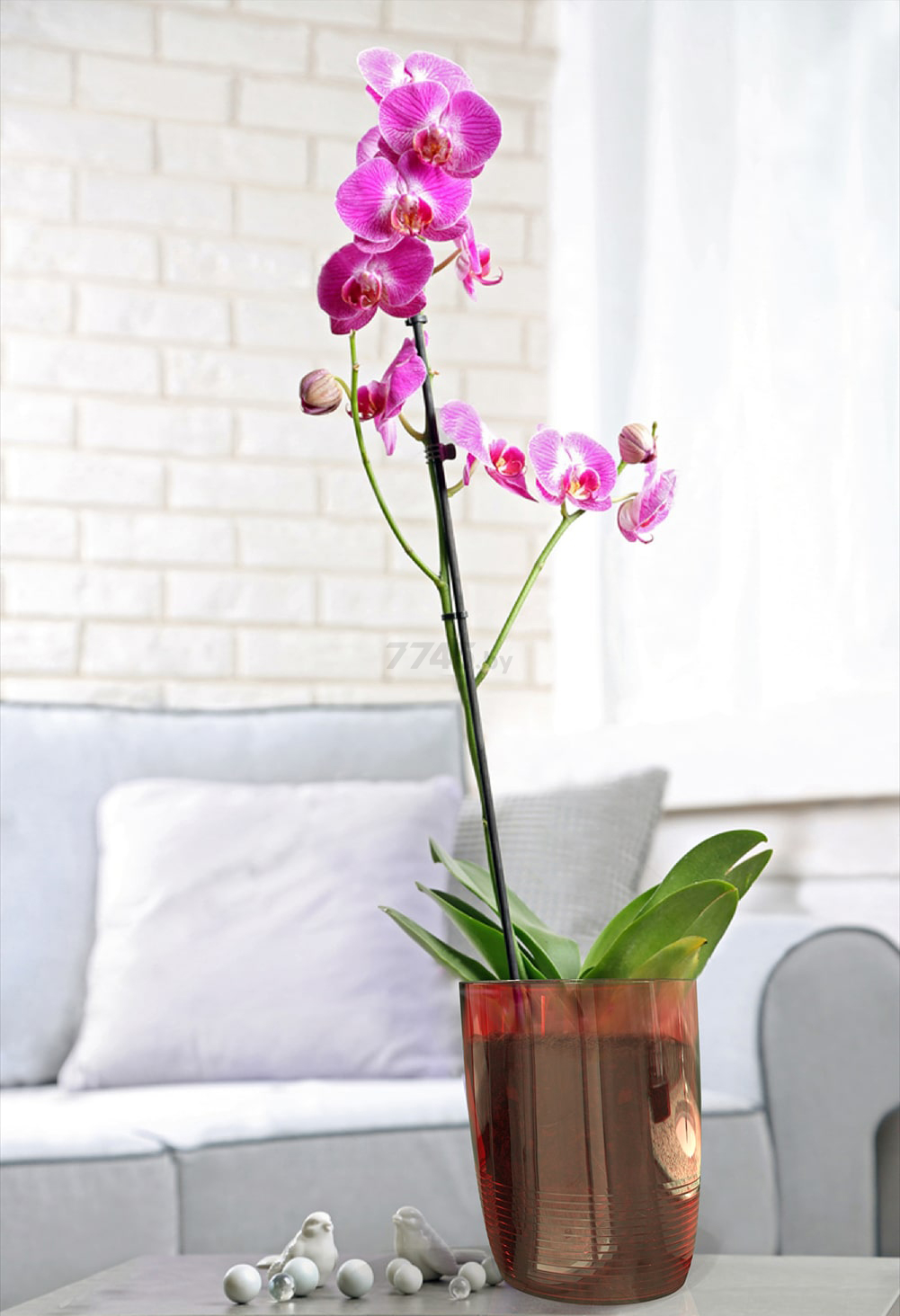 Кашпо для орхидей 2,1 л BEROSSI Mia прозрачный (АС43800000) - Фото 3