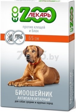 Биоошейник от блох и клещей для собак ZOOЛЕКАРЬ Эко 65 см красный (EVC045)