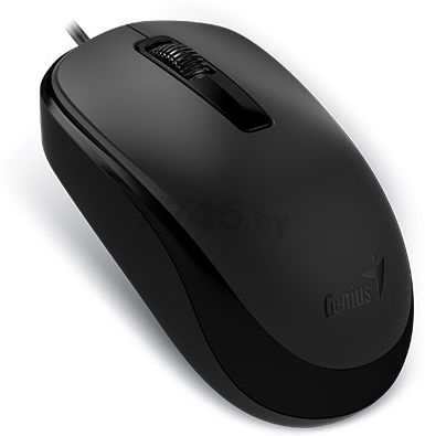 Мышь GENIUS DX-125 (31010106100) черный