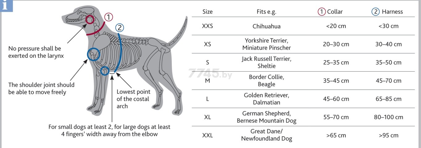 Ошейник для собак TRIXIE Premium Collar XS-S 10 мм 22-35 см королевский синий (201402) - Фото 2