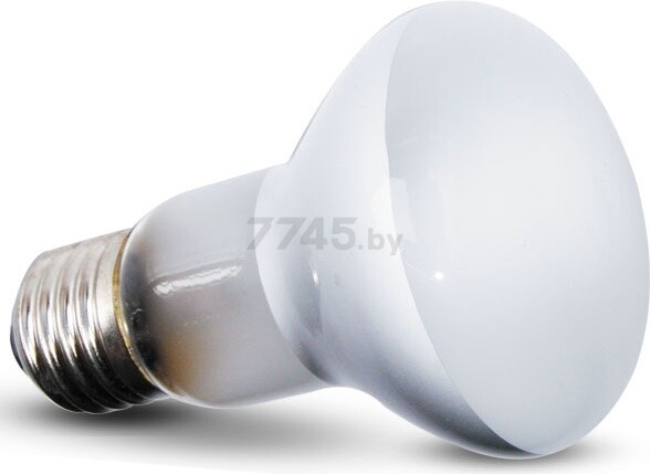 Лампа точечного нагрева для террариума REPTI-ZOO BeamSpot 63060BS 60 Вт (83725020)