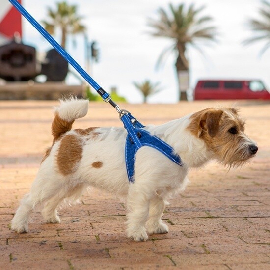 Шлейка для собак ROGZ Fast-Fit Harness Medium/Large Blue 58 см (RSJQ58B) - Фото 3