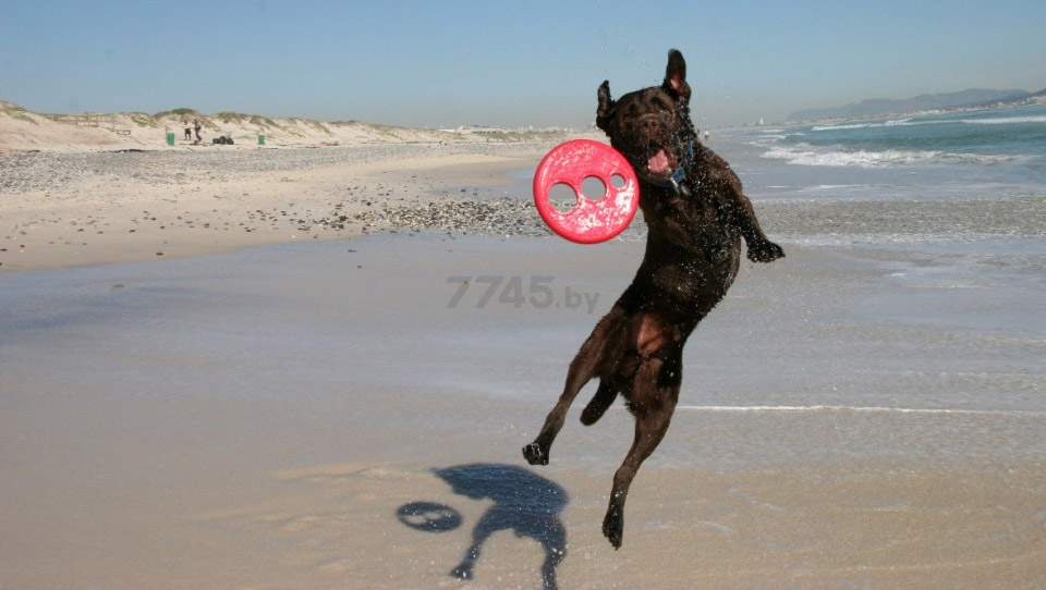 Игрушка для собак ROGZ Flying Object Lime 23 см (RRF01L) - Фото 2