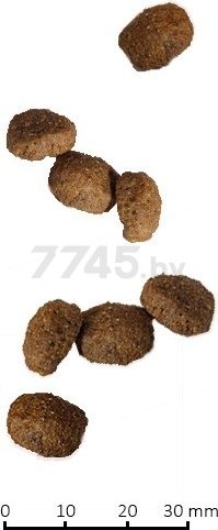 Сухой корм для собак FARMINA Vet Life Joint 2 кг (8010276022486) - Фото 3