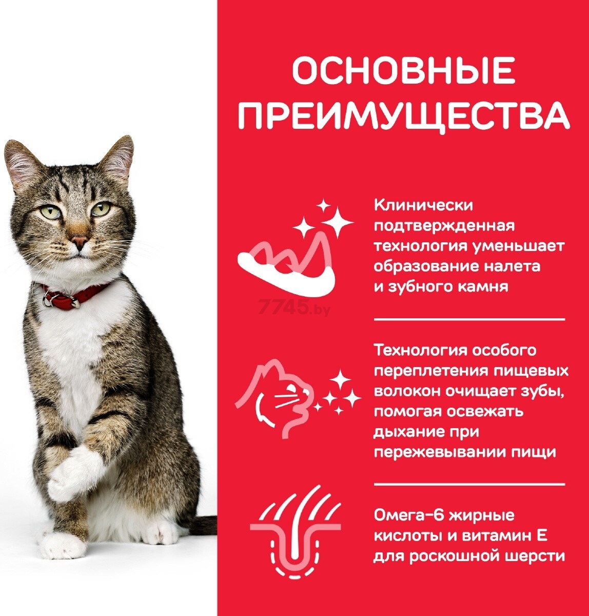 Сухой корм для кошек HILL'S Science Plan Adult Oral Care курица 1,5 кг (52742752204) - Фото 5