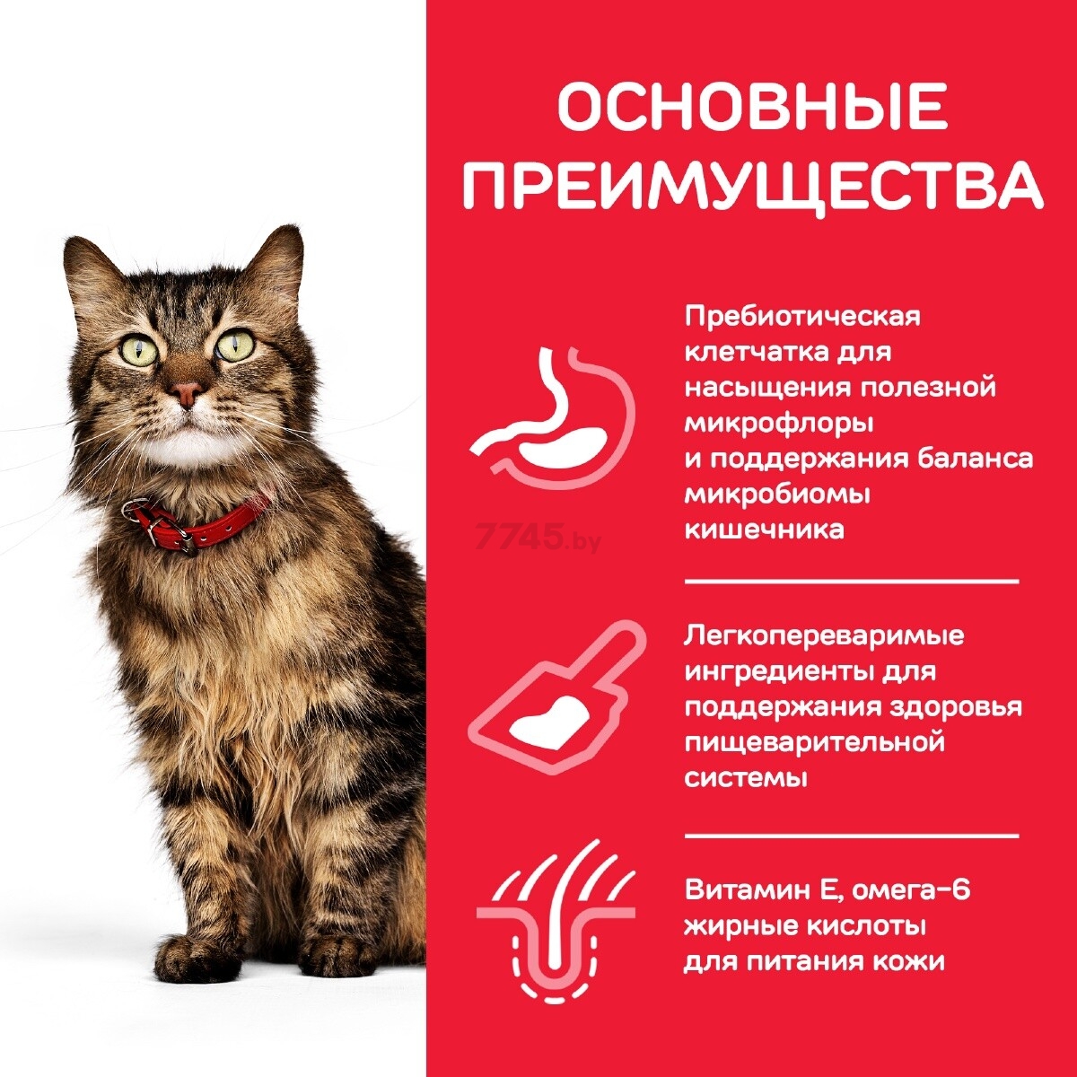 Сухой корм для кошек HILL'S Science Plan Adult Sensitive Stomach&Skin курица 1,5 кг (52742028613) - Фото 4