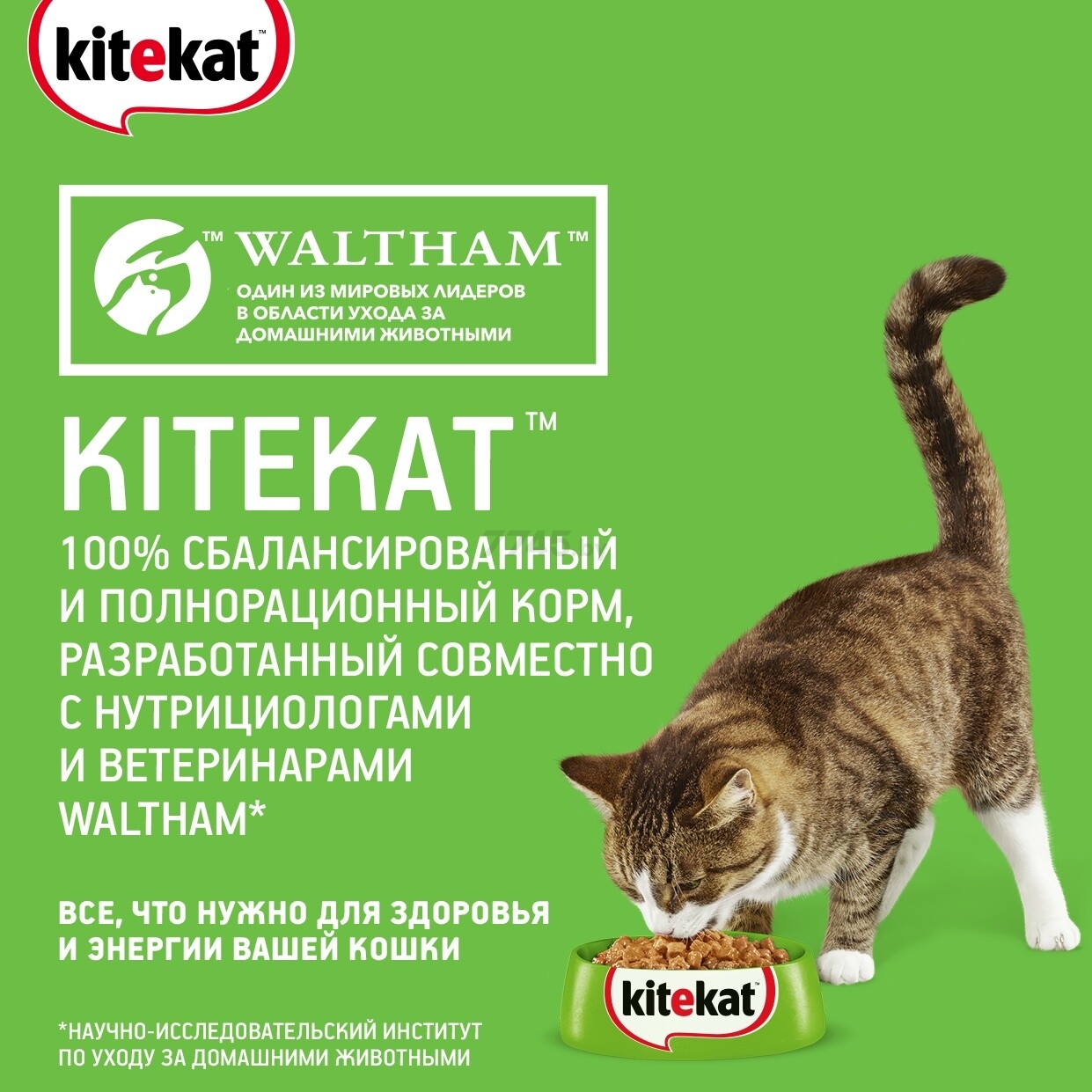 Сухой корм для кошек KITEKAT Телятинка аппетитная 0,35 кг (4607065371227) - Фото 7