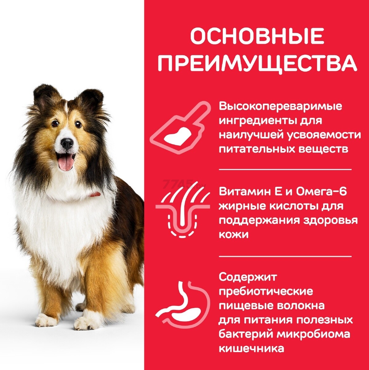Сухой корм для собак HILL'S Science Plan Sensitive Stomach & Skin 12 кг (52742017297) - Фото 5