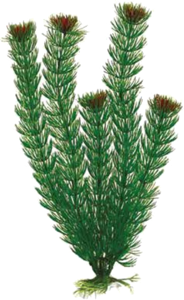 Растение искусственное для аквариума BARBUS Амбулия зеленая 20 см (Plant 002/20)