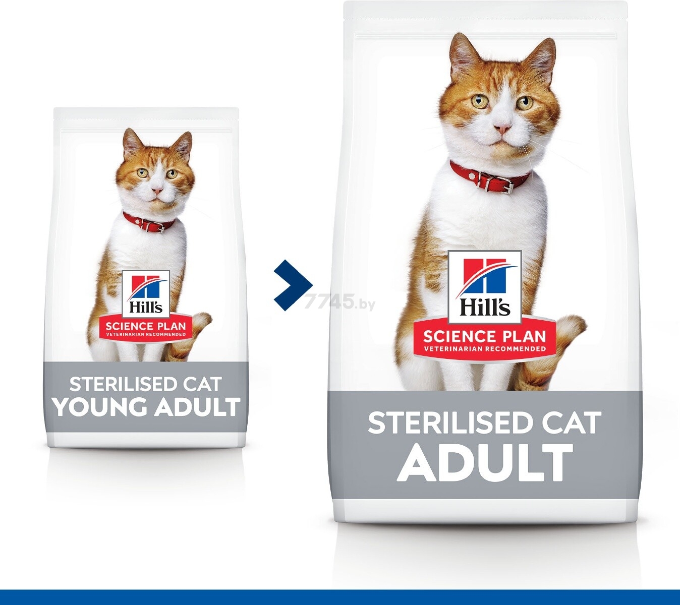 Сухой корм для стерилизованных кошек HILL'S Science Plan Sterilised Cat Adult тунец 0,3 кг (52742028798) - Фото 6