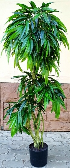 Искусственное растение FORGARDEN Манго Slim mango 150 см (FGN_BF01689)