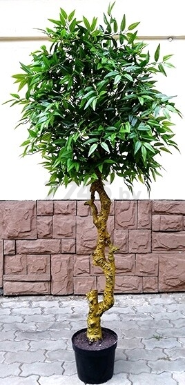 Искусственное растение FORGARDEN Фикус Ficus french 180 см (FGN_BF01687)