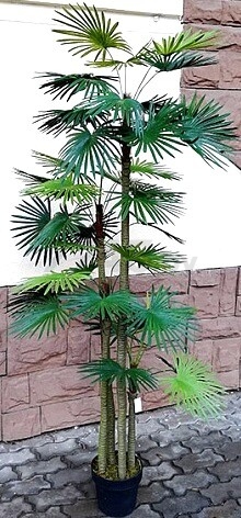 Искусственное растение FORGARDEN Пальма Palm washington tree 180 см (FGN_BF00595) - Фото 2
