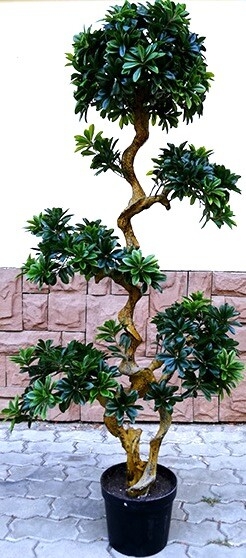 Искусственное растение FORGARDEN Pittisporum bonsai 150 см (FGN_BF01700)