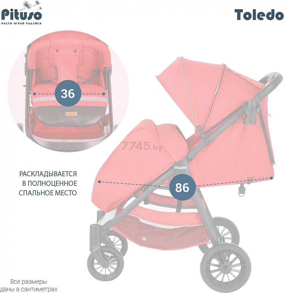 Коляска детская прогулочная PITUSO Toledo Red/красный (S1) - Фото 16