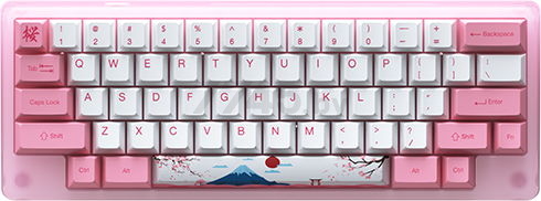 Клавиатура игровая AKKO ACR59, RGB Acrylic, Tokyo <кол-во клавиш 59, USB Type C, Akko Macro V1.0, RG