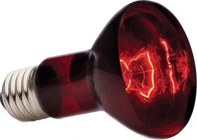 Лампа инфракрасная для террариума EXO TERRA Infrared Basking Spot 50 Вт PT2141 (H221412) - Фото 2