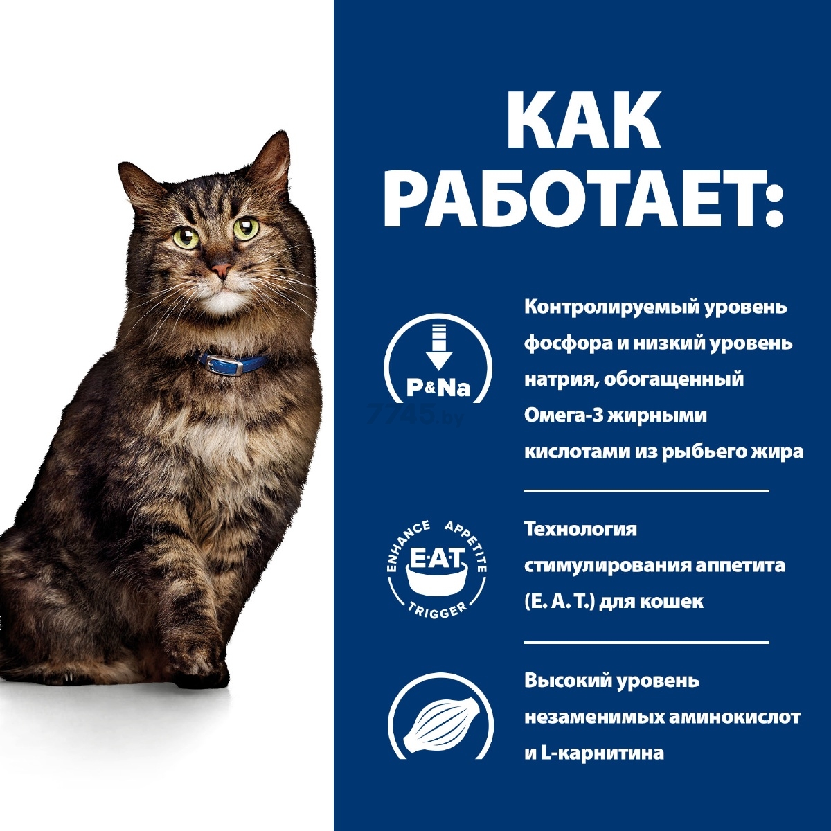 Сухой корм для кошек HILL'S Prescription Diet k/d Early Stage 3 кг (52742043630) - Фото 9